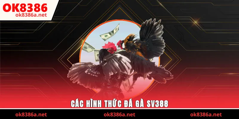 Các hình thức đá gà SV388